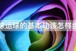 篮球专业训练球是什么